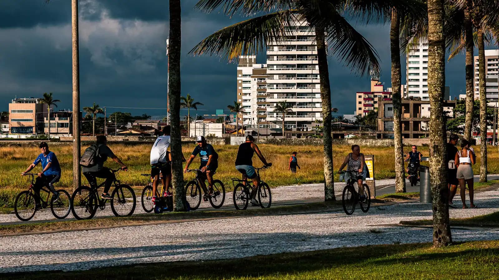 Cyclists riding along a paved path separated from the road, with palm trees on both sides