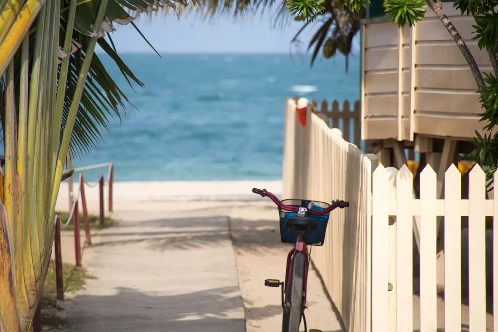 A beach cruiser bicycle leaning against a white picket fence at the head of a sandy beach access path