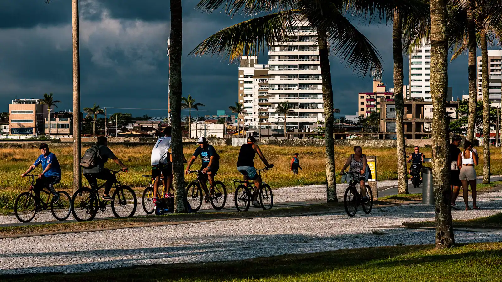 Cyclists riding along a paved path separated from the road, with palm trees on both sides