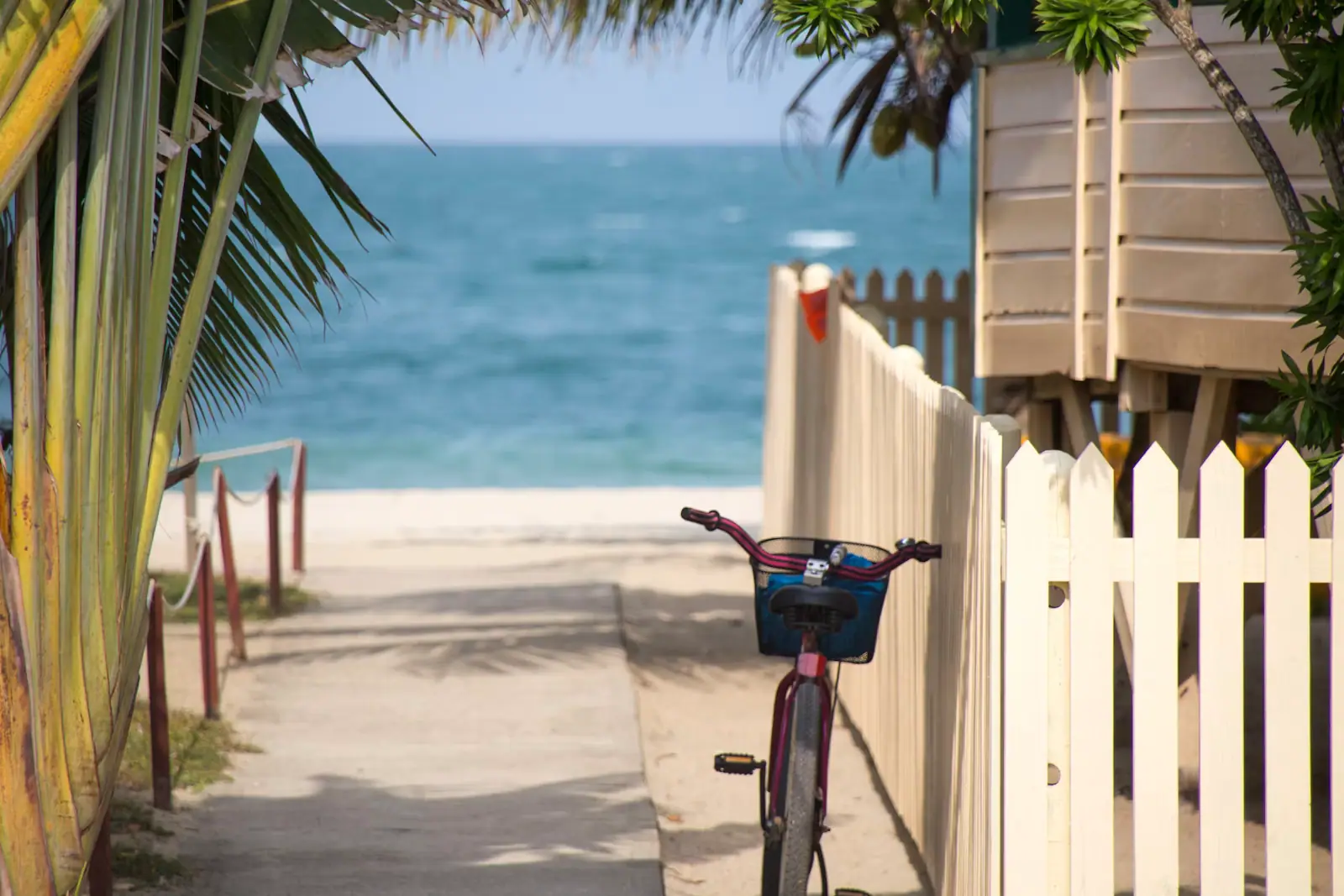 A beach cruiser bicycle leaning against a white picket fence at the head of a sandy beach access path