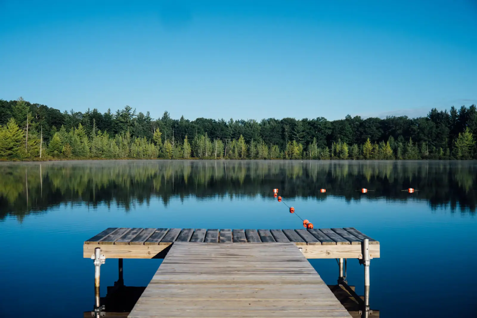 A timber dock running out over calm water backed by dark trees